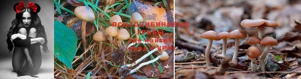 не бодяженный Россошь