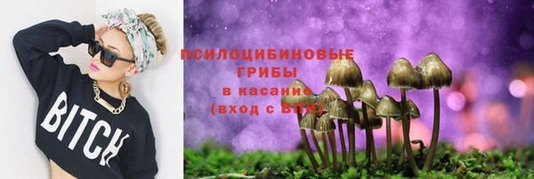 прущий лед Аркадак