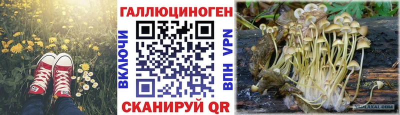 Псилоцибиновые грибы Psilocybe  hydra зеркало  Советский 